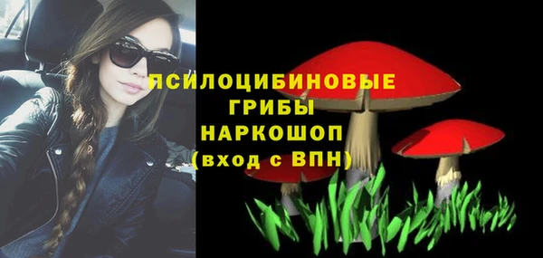 эйфоретик Аркадак