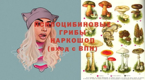 дурь Армянск