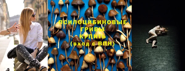 дурь Армянск