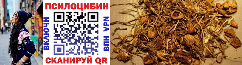 гидра ссылки  Десногорск  Псилоцибиновые грибы Magic Shrooms 